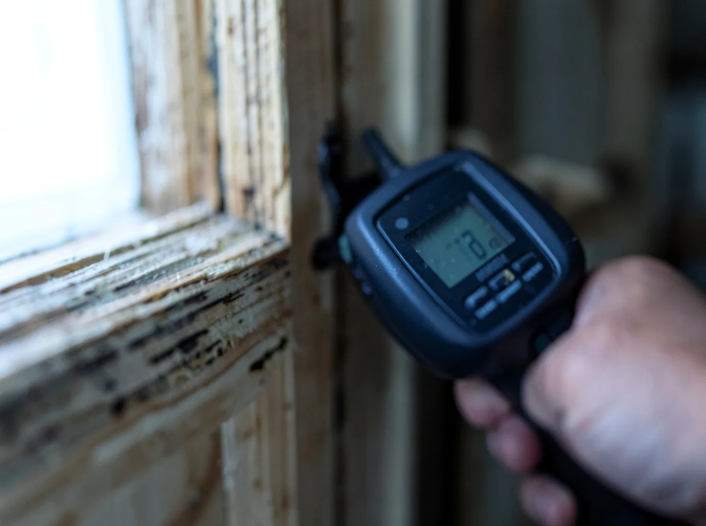 Commercial Water Damage Restoration in Halstad, MN